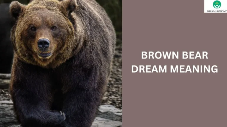 Brown Bear Dream Meaning