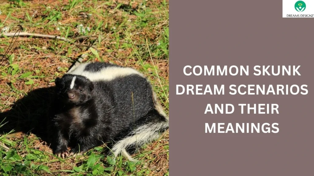 Common Skunk Dream Scenarios and Their Meanings