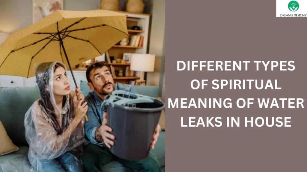 Different Types of Spiritual Meaning of Water Leaks in House