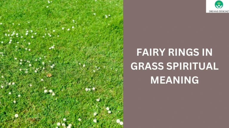 Fairy Rings in Grass Spiritual Meaning