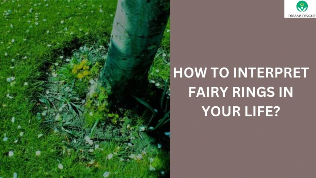 How to Interpret Fairy Rings in Your Life?