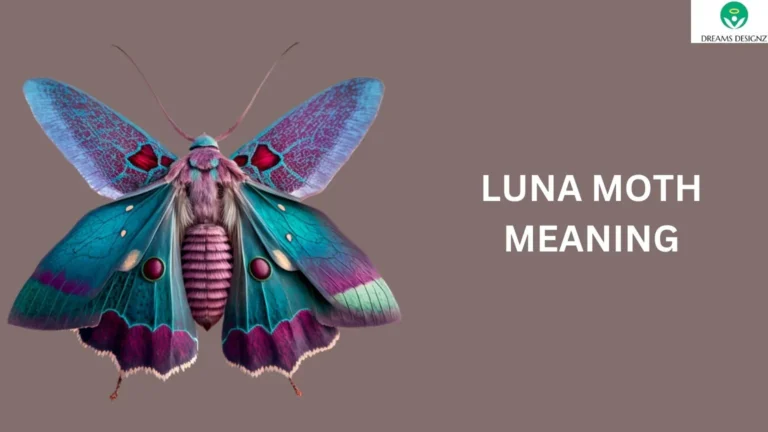 Luna Moth Meaning