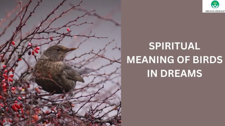 Spiritual Meaning of Birds in Dreams