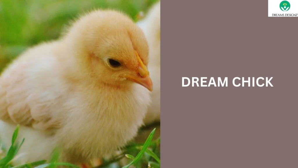 dream chick