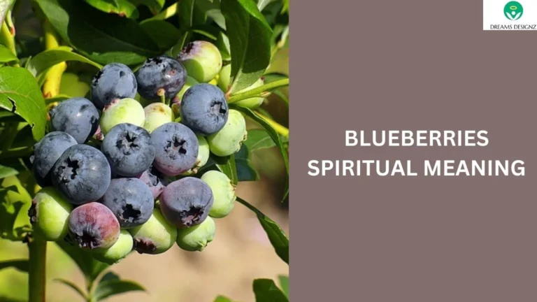 Blueberries Spiritual Meaning