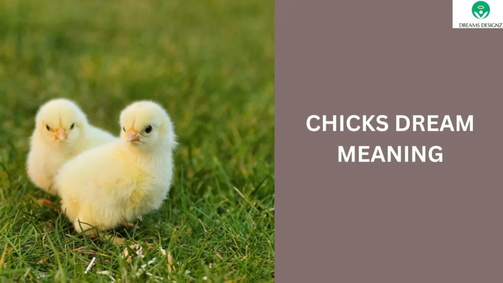 Chicks Dream Meaning