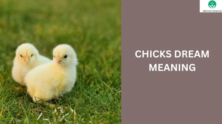 Chicks Dream Meaning