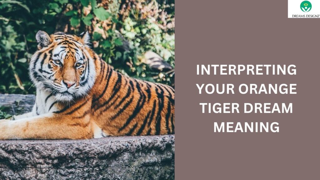 Interpreting Your Orange Tiger Dream Meaning