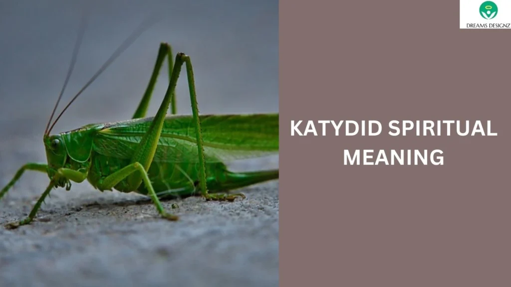 Katydid Spiritual Meaning