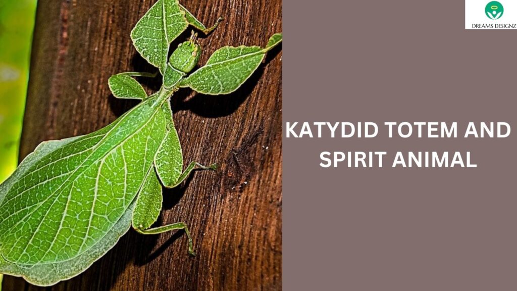 Katydid Totem and Spirit Animal