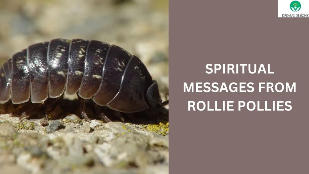 Spiritual Messages from Rollie Pollies